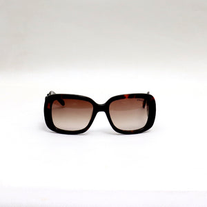 TIGER FRAME BROWN LENS - All About Eg