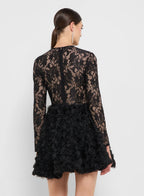 Lace Bodycon Drop Waist Dress With Tulle Hem