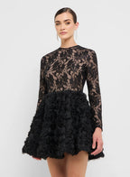 Lace Bodycon Drop Waist Dress With Tulle Hem