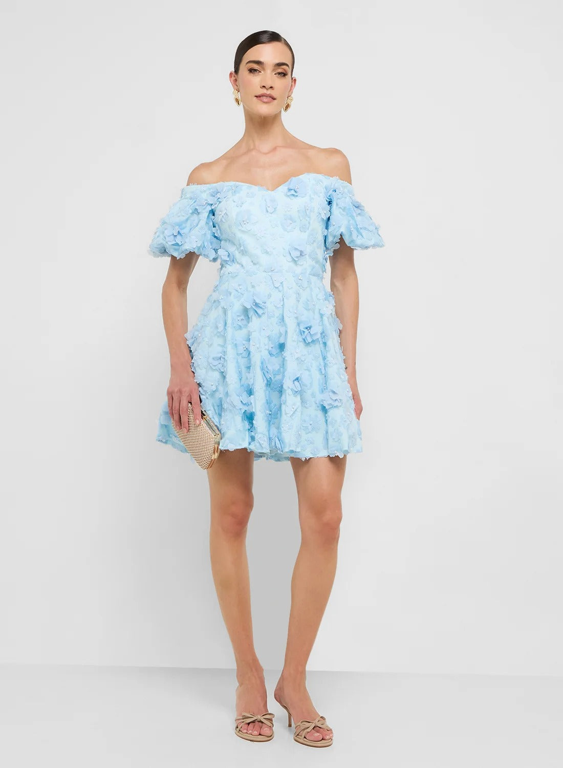 Puff Sleeves 3d Floral Applique Dress