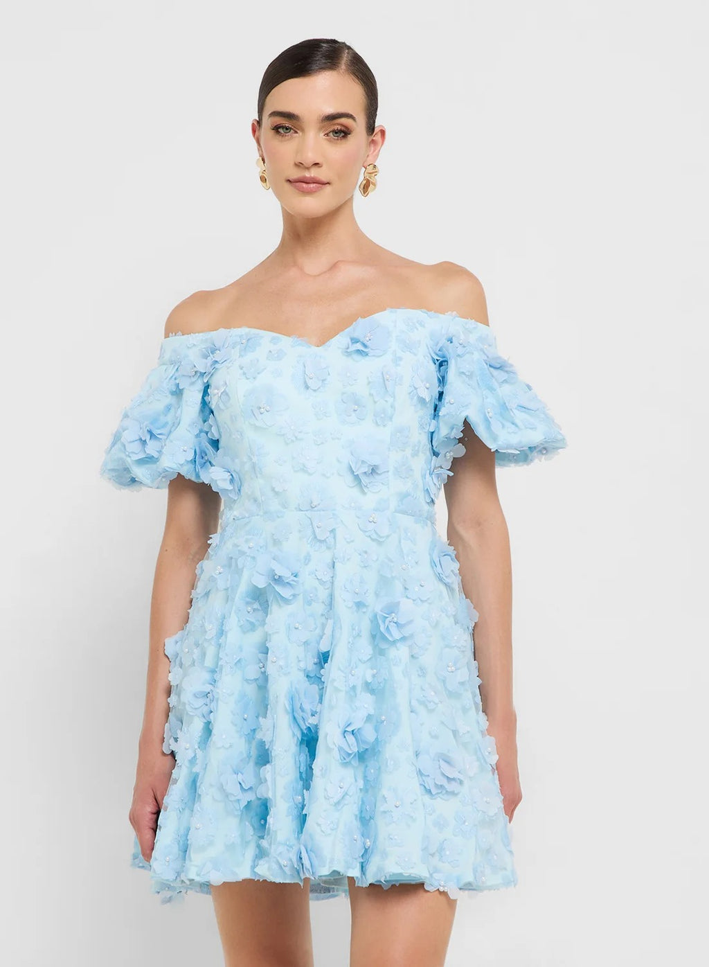 Puff Sleeves 3d Floral Applique Dress