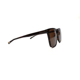 Tiger Frame Brown Lens - All About Eg