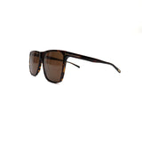 Tiger Frame Brown Lens - All About Eg